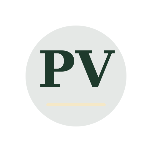 Pine View Dryer Cleaning Services logo